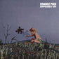 Disposable Life (Red Apple) - 12-Inch Single (Red)