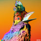 Palaces - Vinyl LP
