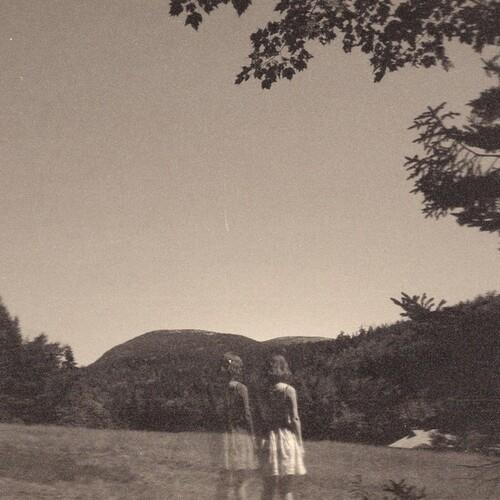 The Malady Of Elegance - Vinyl LP
