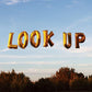 Look Up (Blue Skies) - Vinyl LP