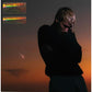 Love Is Not Dying - Vinyl LP