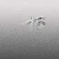 Soft Spot - Vinyl LP