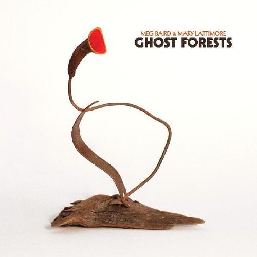 Ghost Forests - Vinyl LP (Green)