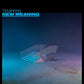 New Meaning - Vinyl LP