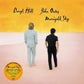 Marigold Sky - Vinyl LP