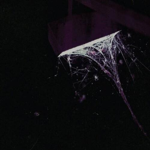 Across The Park B/w Sevens - 7-Inch Single