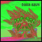 Experiments In Plant Based Music 1 - Vinyl LP