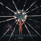Subtle Realms Subtle Worlds - Vinyl LP 180 Gram