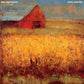 Dog Hours (transparent Blue) - Vinyl LP