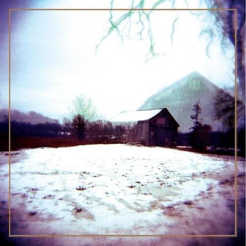 House With No Home - Deluxe Edition Vinyl LP (Blue/Gray)