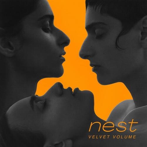 Nest Vinyl - Vinyl LP