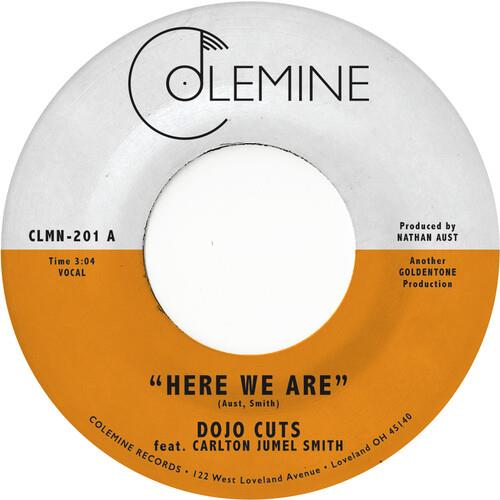 Here We Are (Coke Bottle Clear) - Vinyl LP