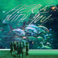 Here With You - Vinyl LP