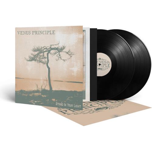 Stand In Your Light - Vinyl LP