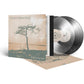 Stand In Your Light (Crystal Clear) - Limited Edition Vinyl LP