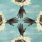 Could We Be More - Vinyl LP