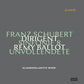 Die Unvollendete 4 - Vinyl LP