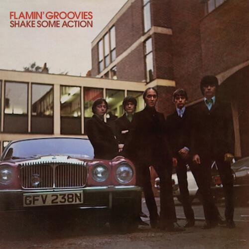 Shake Some Action - Vinyl LP