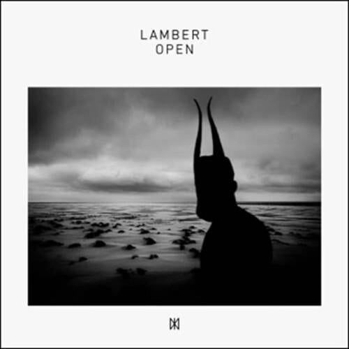 Open - Vinyl LP