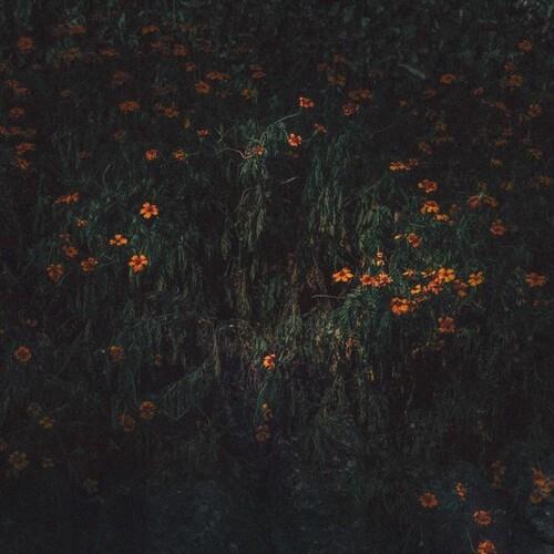 Estarantos - Vinyl LP