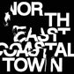 North East Coastal Town - Vinyl LP