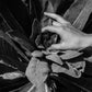 Heide - Vinyl LP 180 Gram