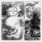 Human Capital - Vinyl LP