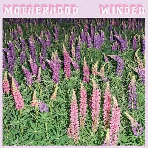 Winded - Vinyl LP (Purple)