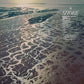 Shore - Vinyl LP - PRE-ORDER