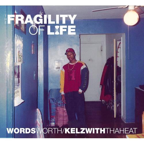 Fragility Of Life - Vinyl LP
