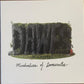 Misadventures Of Doomscroller - Vinyl LP
