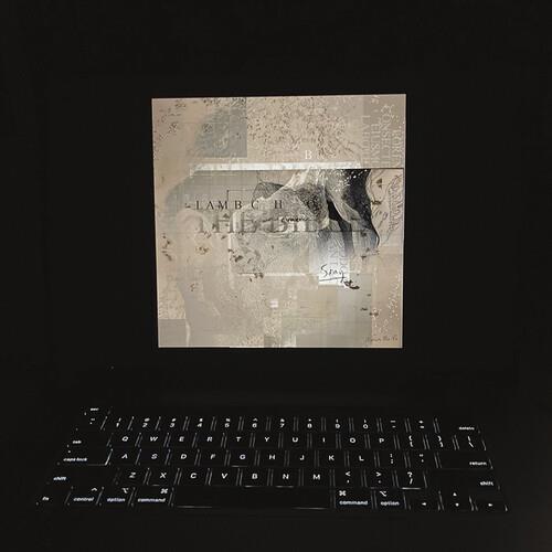 Bible - Yellow & Black Galaxy - Vinyl LP (Yellow/Black)
