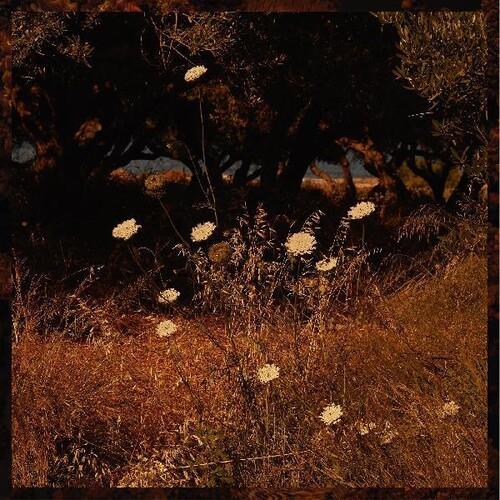 Earth Patterns - Vinyl LP