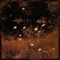 Earth Patterns - Vinyl LP