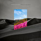 The Rain Museum - Vinyl LP