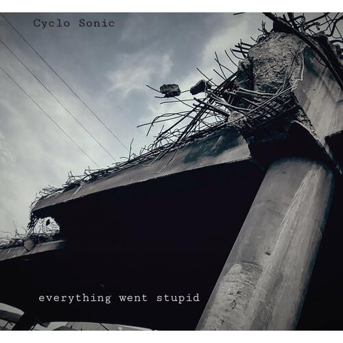 Everything Went Stupid - Vinyl LP