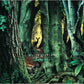 Manafon - Vinyl LP
