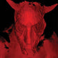 Broken Gargoyles - Vinyl LP