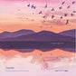 Everything Moves Nothing Rests - Vinyl LP
