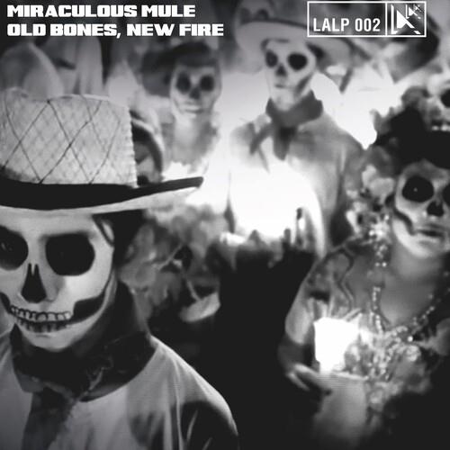 Old Bones New Fire - Vinyl LP