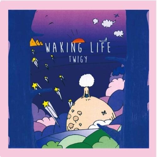 Waking Life - Vinyl LP