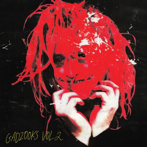 Gadzooks Vol. 2 - Vinyl LP