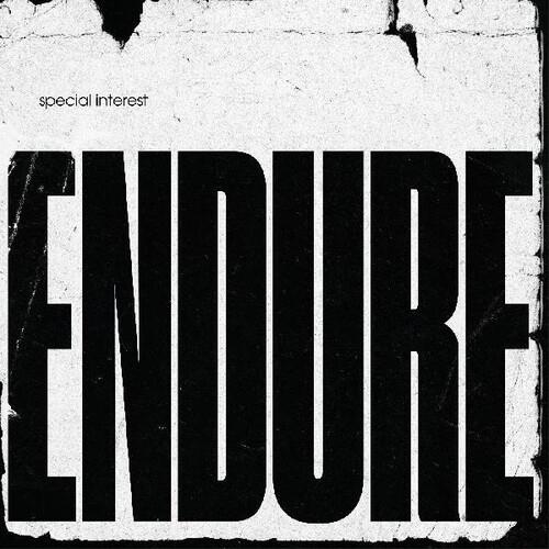 Endure - Vinyl LP