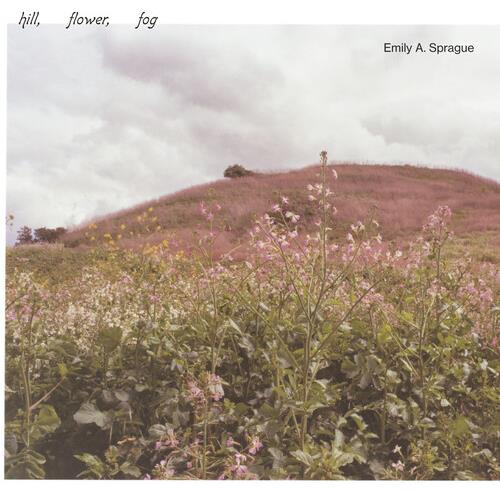 Hill, Flower, Fog - Foggy White - Vinyl LP (White)