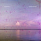 Various Seasides - Limited Edition Vinyl LP (Purple)
