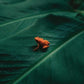 Ingredient - Vinyl LP