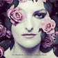 Diving For Roses - Vinyl LP 180 Gram