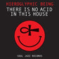 There Is No Acid In This House - Vinyl LP