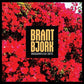 Bougainvillea Suite - Vinyl LP
