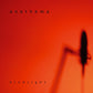 HINDSIGHT - Vinyl LP